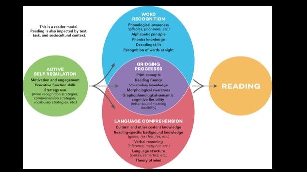 about-reading